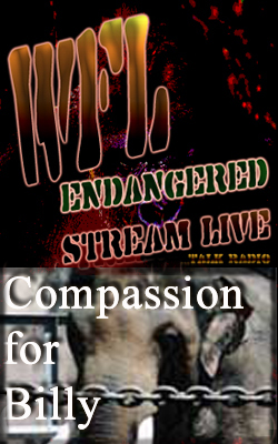 Compassion for Billy BNR